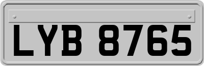LYB8765