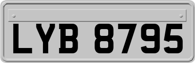 LYB8795