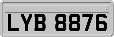 LYB8876