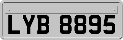 LYB8895