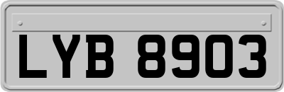 LYB8903