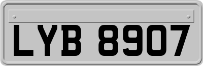 LYB8907