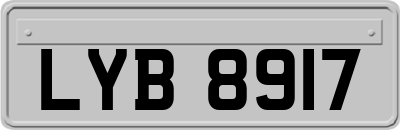 LYB8917