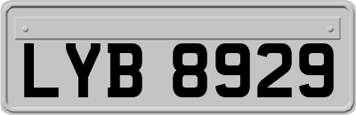 LYB8929