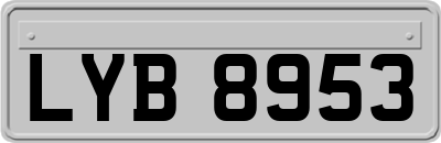 LYB8953