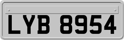 LYB8954