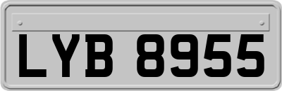 LYB8955
