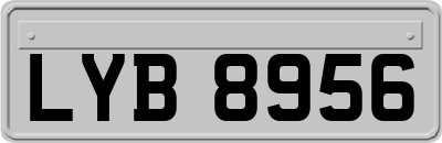 LYB8956