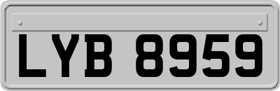 LYB8959