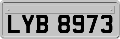 LYB8973