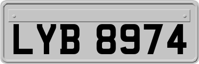 LYB8974