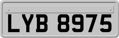 LYB8975