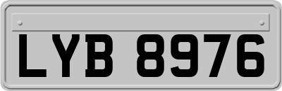 LYB8976