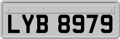 LYB8979