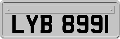 LYB8991