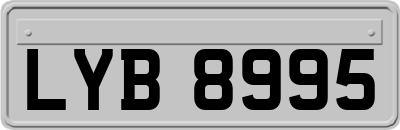 LYB8995
