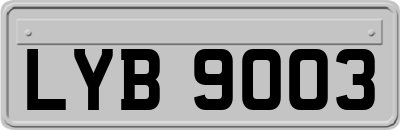 LYB9003