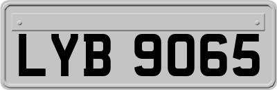 LYB9065