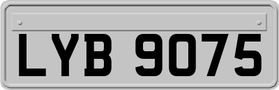 LYB9075