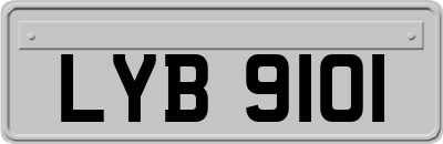 LYB9101