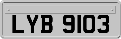 LYB9103
