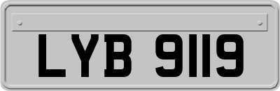 LYB9119