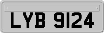 LYB9124