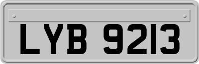 LYB9213