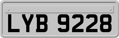 LYB9228