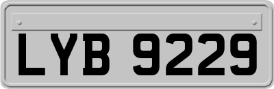 LYB9229