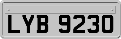LYB9230