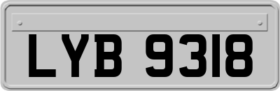 LYB9318