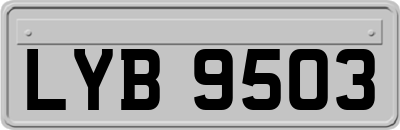 LYB9503