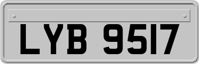 LYB9517
