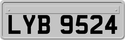 LYB9524