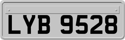 LYB9528