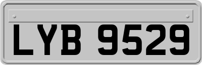 LYB9529