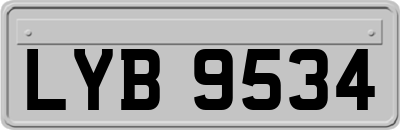 LYB9534