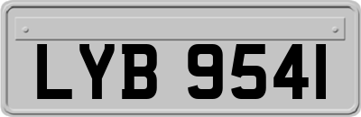LYB9541