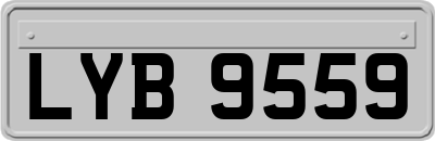 LYB9559