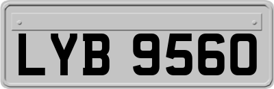 LYB9560