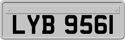 LYB9561