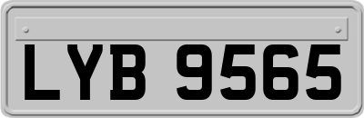 LYB9565