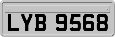 LYB9568