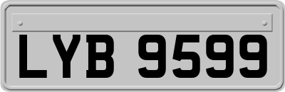 LYB9599