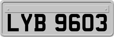 LYB9603