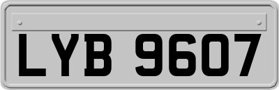 LYB9607