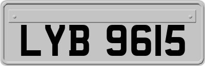 LYB9615