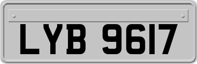 LYB9617
