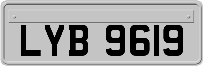 LYB9619
